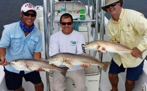 Charlotte Harbor Charters offers light tackle, backcountry and flats fishing in and around Charlotte Harbor, Boca Grande, SW Florida and Pine Island. Let Captain Mark Cowart guide you to some of the best snook, redfish, trout and tarpon fishing in Southwest Florida.